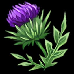 Thistle